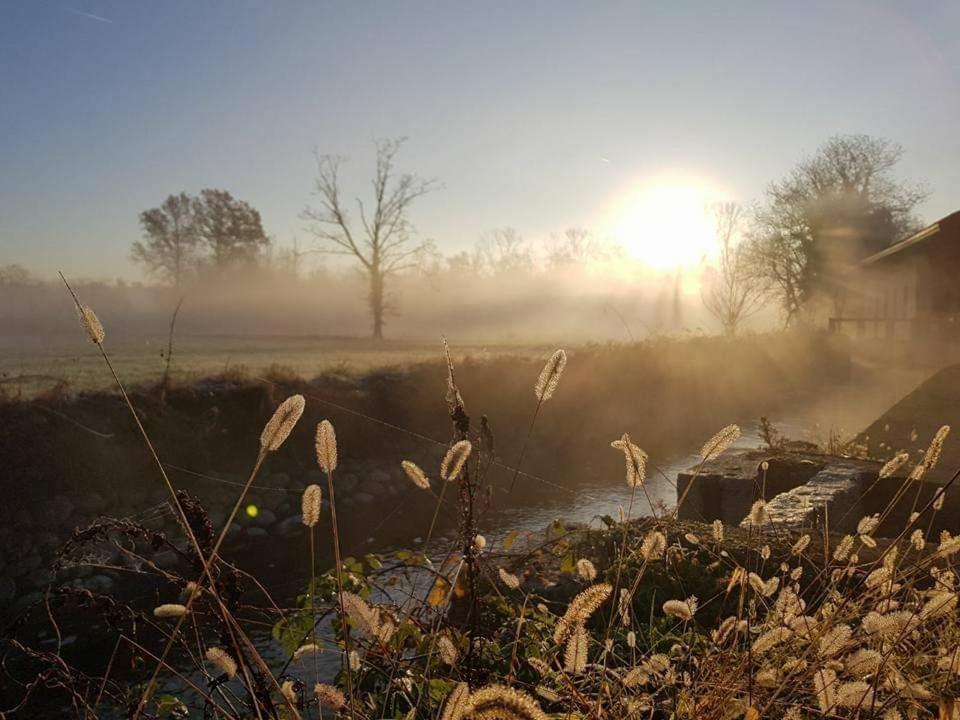 Agriturismo Helianthus 올레기오 외부 사진