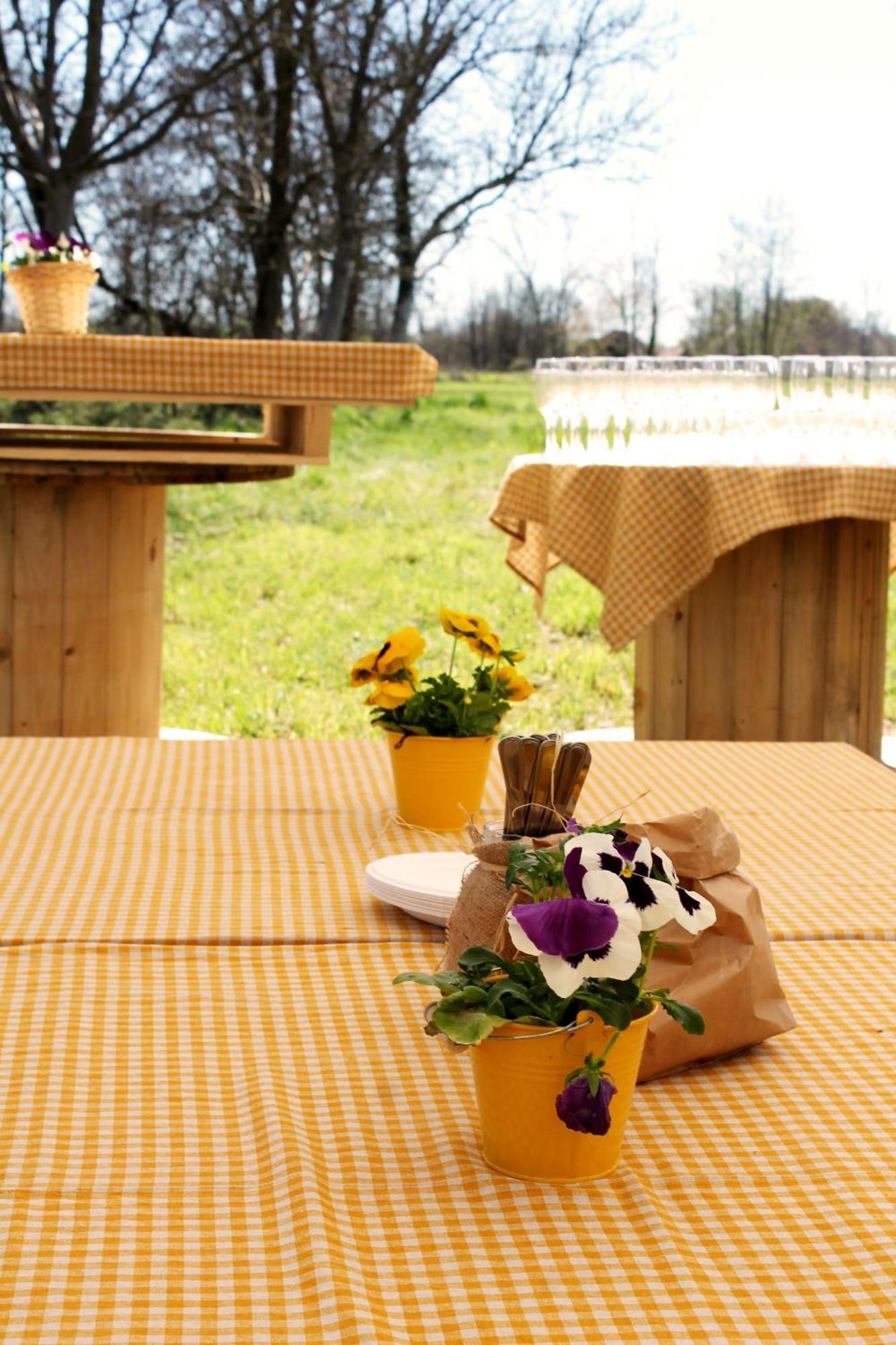 Agriturismo Helianthus 올레기오 외부 사진