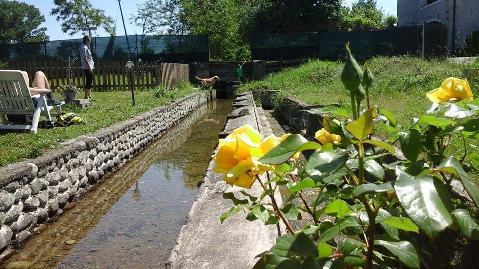 Agriturismo Helianthus 올레기오 외부 사진