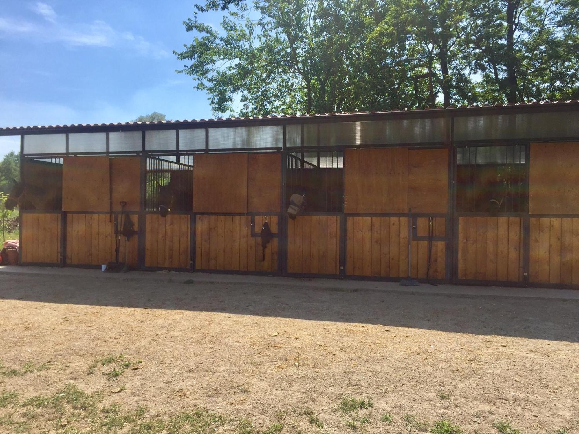 Agriturismo Helianthus 올레기오 외부 사진