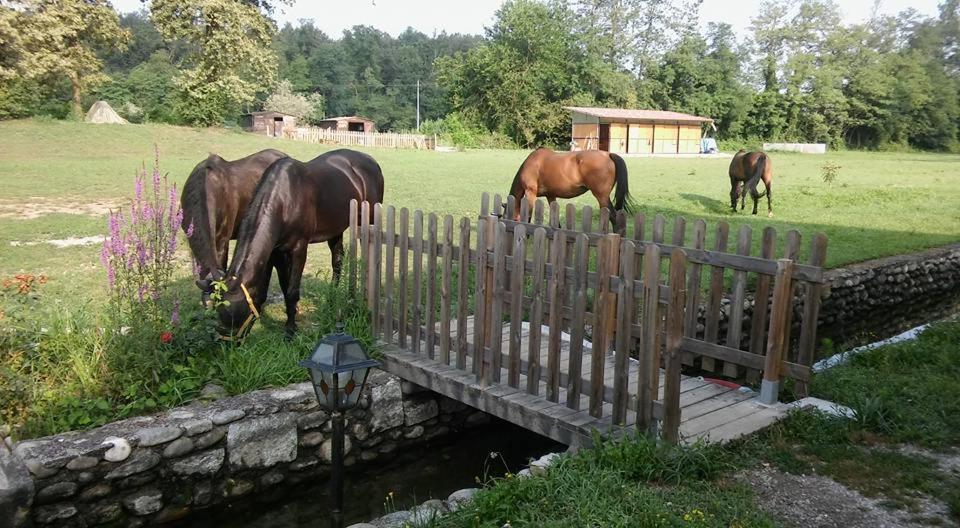 Agriturismo Helianthus 올레기오 외부 사진